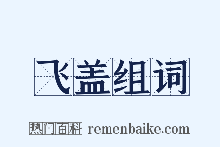 飞盖组词是什么意思的图片